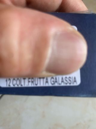 Coltelli frutta Galassia Zanetti - 12pz