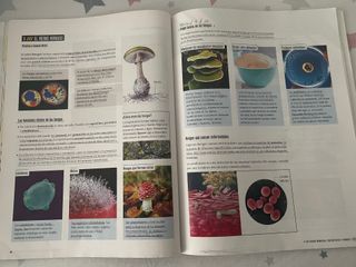 Proyecto: FanFest - Biología y Geología 1 ESO