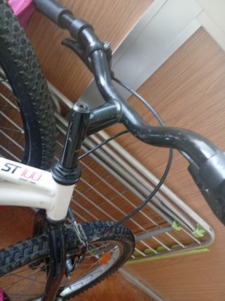 Bicicleta niño/a rock Rider 20"