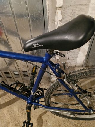 Bici da Montagna VCM