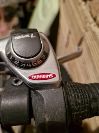 Bici da Montagna VCM