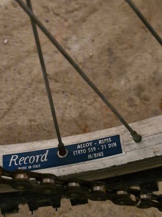 Bici da Montagna VCM