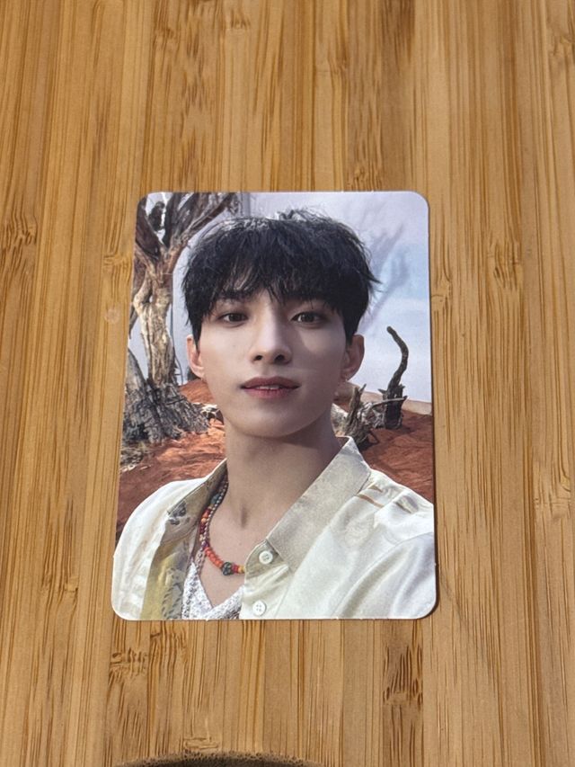 Photocard DK Seventeen Face the Sun (Ray ver.)