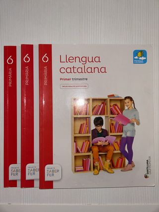 Llengua Catalana 6é de Primaria