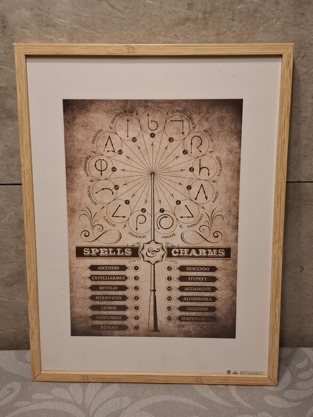 Cuadro Hechizos Harry Potter