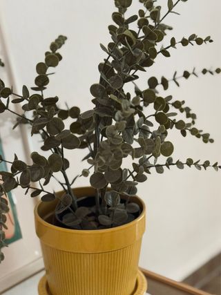 Planta artificial eucalipto