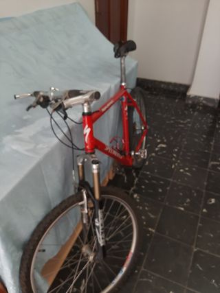 Bicicleta de montaña Specialized
