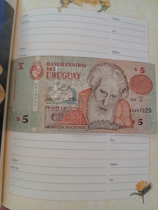 Billete 5 Pesos Uruguay 1998 Uruguay 🇺🇾