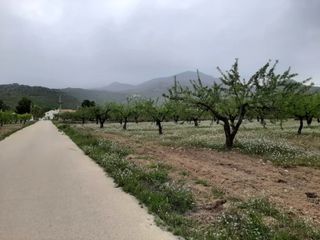 Cortijo para reformar - Zona protegida