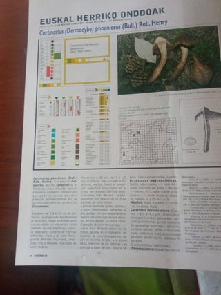 Revista Agro - Pesquera desde el número 10 al 98