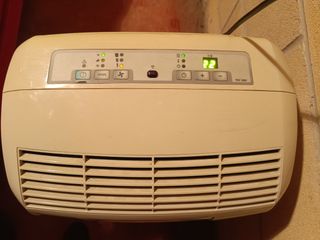 Pingüino Delonghi 8020 BTU/h