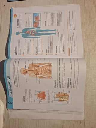 BIOLOXÍA E XEOLOXÍA 3° ESO