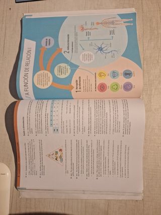 BIOLOXÍA E XEOLOXÍA 3° ESO