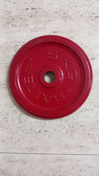 Pesas Salter 10kg y 5kg