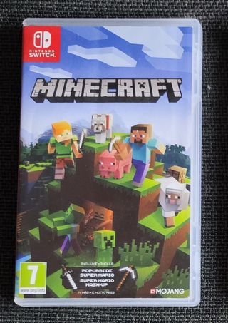Minecraft Nintendo Switch