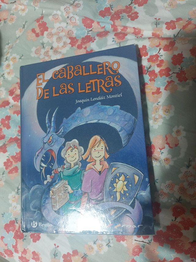 El Caballero de las Letras (Spanish Edition)