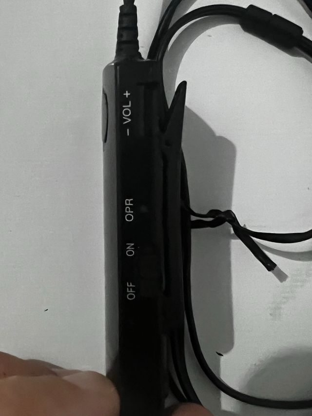 Auriculares Panasonic RP-HC101