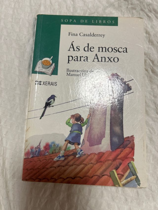 Ás de mosca para Anxo (Infantil E Xuvenil) (Gal...