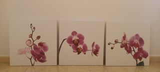 3 Cuadros Orquídeas Moradas