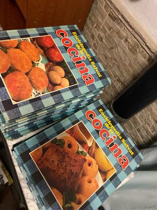 Enciclopedia Salvat De La Cocina