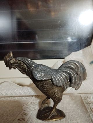 Antico  gallo