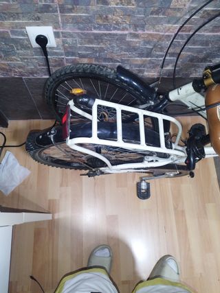 Bicicleta plegable PS250