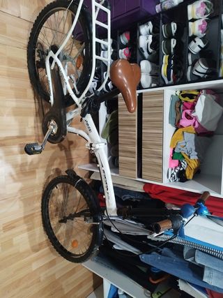 Bicicleta plegable PS250