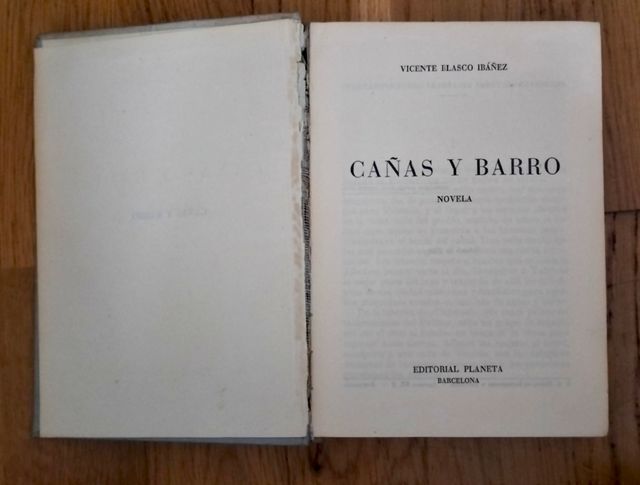 CAÑAS Y BARRO