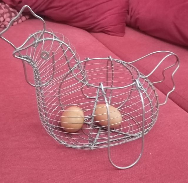 Cesta huevos gallina metal, capacidad 24 huevos.