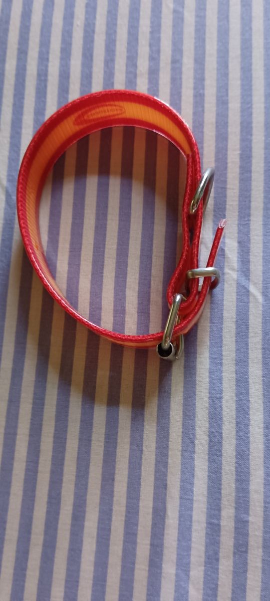 COLLAR DE PERRO
