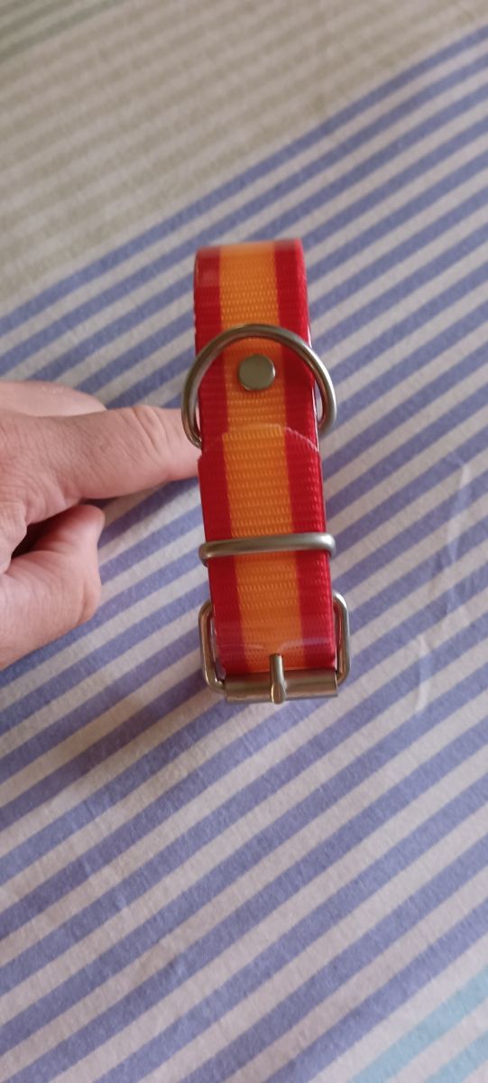 COLLAR DE PERRO