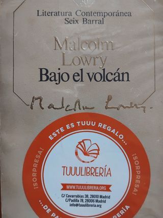 Bajo el volcán