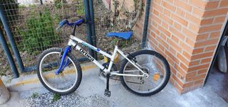Bicicleta plegable