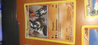 7 Carte Pokemon - Terrakion, Baltoy, bronzor, ecc