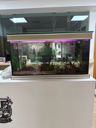 Acuario 200L - Pecera con luz