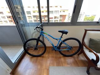 Bicicleta de montaña Racer 29"