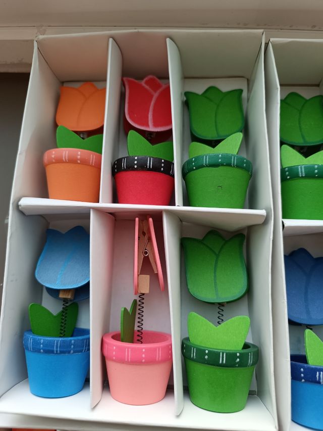 6 Mini Pinzas Decorativas