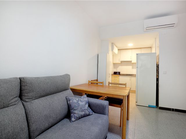 Alquiler temporal estudiantes