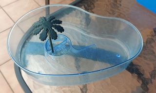 Mini piscina transparente para tortugas