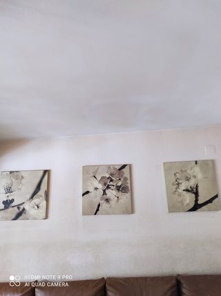 3 Cuadros Ikea - Flores