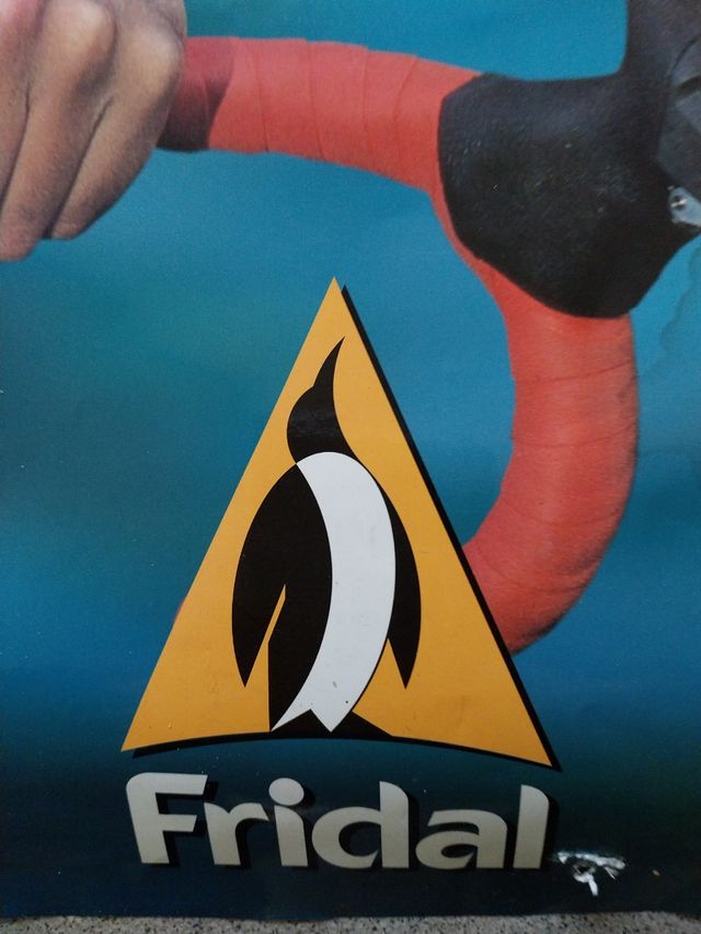 CARTEL PUBLICIDAD FRIDAL.