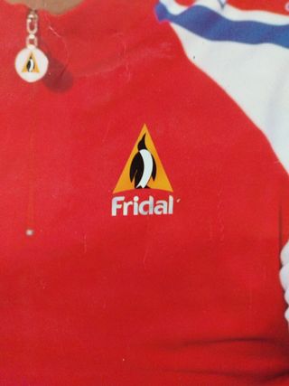 CARTEL PUBLICIDAD FRIDAL.