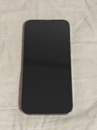 iPhone 13 Pro Max Gris Espacial 256GB