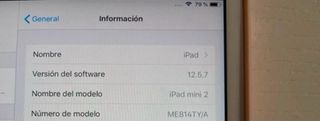 iPad mini 2 plateado