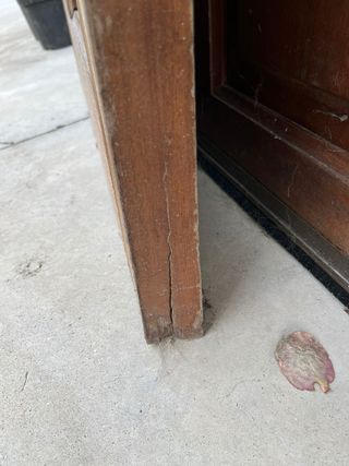 2 Puertas madera maciza - Entrada