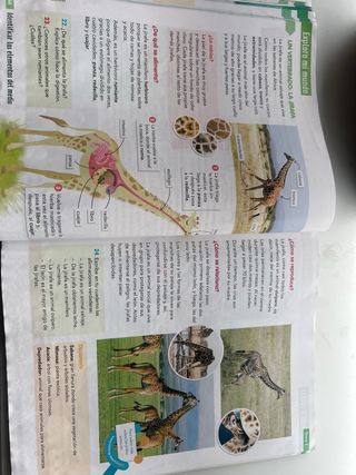 CIENCIAS DE LA NATURALEZA 3 (COMUNIDAD ZOOM)