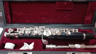 Flauta Taylor Collins TCPC-733