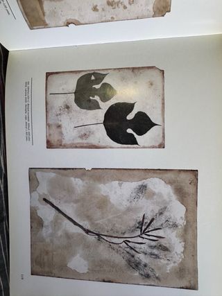 San Borondon - La isla descubierta