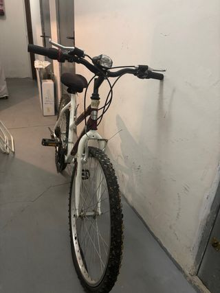 Bicicletas de paseo