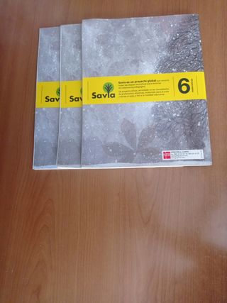 Libro matemáticas 6 primaria